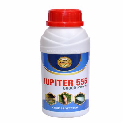 Jupiter 555