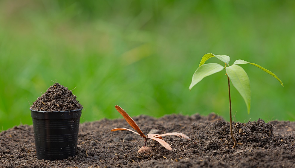  The importance of organic fertilizers